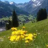 Peter Grundmann - @peter.grundmann0 - TikTok