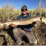 Peter Grundy - @petergrundy0 - Instagram