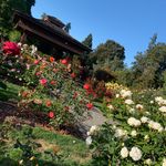 peter guevara - @peterliiit - Instagram