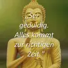 Peter v Roit - @peterguse452 - TikTok