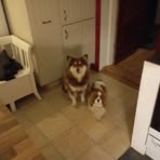Peter Gustavsson - Facebook