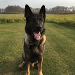 Peter Gustavsson - @p.e.t.e.r_gustavsson - Instagram