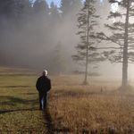 Peter Güttinger - @p_guettinger - Instagram