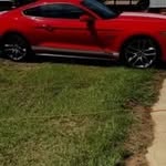 Pete Guyton - @pete.guyton - Instagram