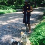 Peter Guzzi - @guzzipeter - Instagram