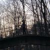 peter haack - @peter.hck - TikTok