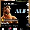 peterhaack698 - @peterhaack698 - TikTok
