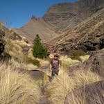 Peer Haagensen - @peerhaagensen - Instagram