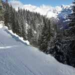 peter haak - @haak639 - Instagram