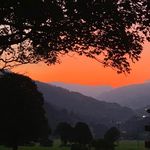 Peter Hackl - @hackl.peter - Instagram