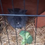 Peter Hackney - @phackney1960 - Instagram