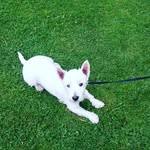 Peter Hackney - @phackney196 - Instagram