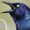 Peter Jimenez - @peterjthaggard3 - TikTok