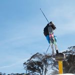 Peter Hague - @barrywalnuts - Instagram