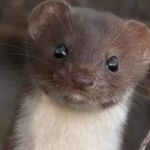 Peter Hague - @peter.hague.14 - Instagram
