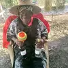 ougan beloni - @peterhaiti5 - TikTok