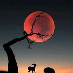 Hakim Peter - Facebook