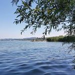 Hanspeter Haldemann - @hanspeterhaldemann - Instagram