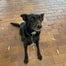 Peter Halford - Facebook