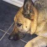 Peter Hallberg - @peterhallberg73 - Instagram