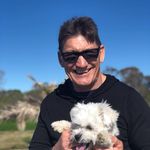 Pete Halligan - @petehalligan - Instagram