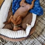 Peter Hallman - @bubbeltrubbel700 - Instagram