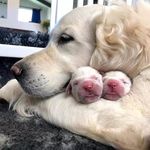 Peter Halsey - @hasleypeter805 - Instagram