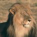 Peter Hambleton - Facebook