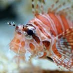 Peter Hammerle - Facebook