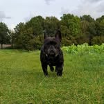 Peter Hammerschmidt - @hammer___27 - Instagram