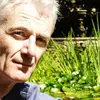 peter hammill - @progshit - TikTok