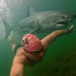 Peter Hancock - @platocean - Instagram