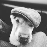 peter hands - @hands.peter - Instagram