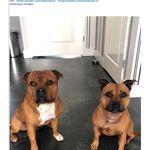 Peter Hanssen - @peter.hanssen.77 - Instagram