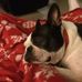 Pete Happel - Facebook