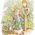 Peter Hare - @harepeter - Instagram