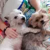 Peter Harte - @peter.harte54 - TikTok