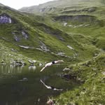 peter - @peterhartenstein - Instagram