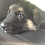 Peter Hawes - @peterhawes - Instagram