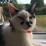 Peter Hearn - @hearn6268 - Instagram