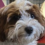 Peter Hearn - @peter.hearns - Instagram