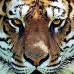 Peter Heaton - @peter.heaton.370 - Instagram