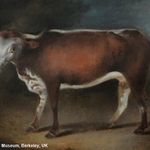 Peter Heaton-Harris - @peterheatonharris - Instagram