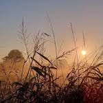 Peter Heller - @huhnerpeter - Instagram