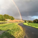 Peter Hellerbrand - @peterhellerbrand - Instagram