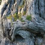 Peter Helmstedt - @peterhelmstedt - Instagram