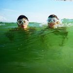 Peter Hendrickson - @peter_hendrickson_ - Instagram