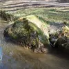 peterhennessey76 - @peter.hennessey5 - TikTok