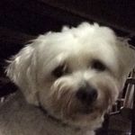 Peter Henson - @stormpete123 - Instagram