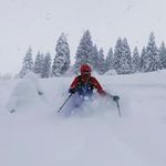Peter Herbert - @peter_herbert1 - Instagram
